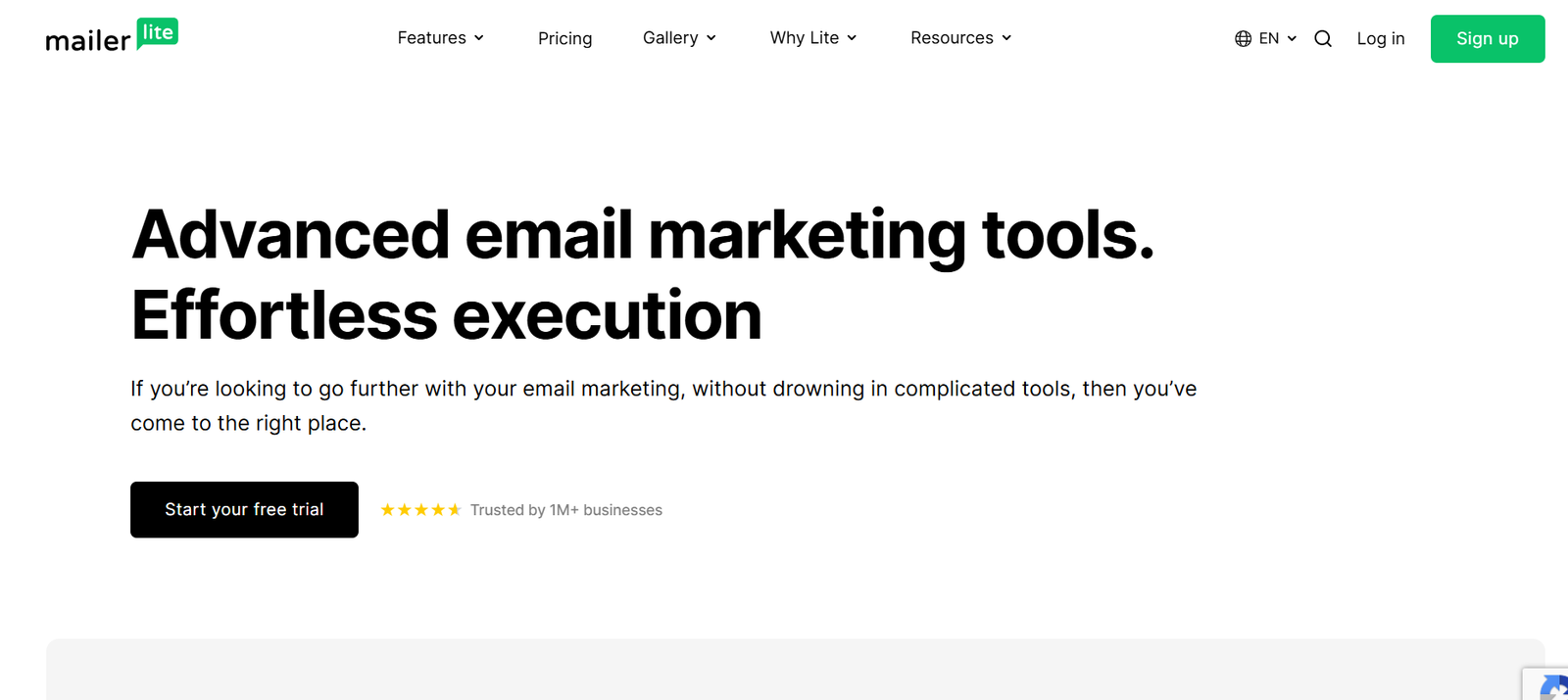 MailerLite dashboard showing email campaign analytics and subscriber growth for small business